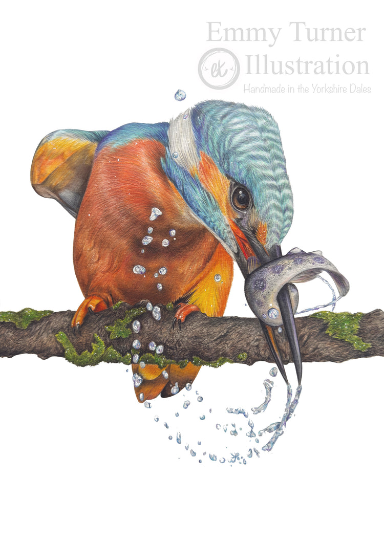Limited Edition Prints