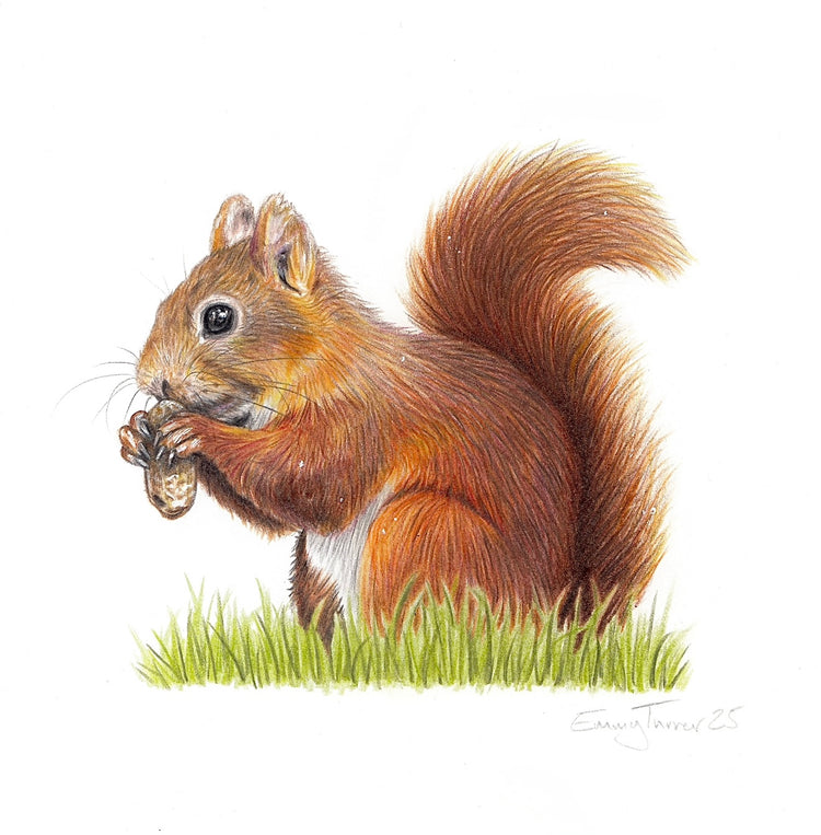 British Wildlife Mini Originals