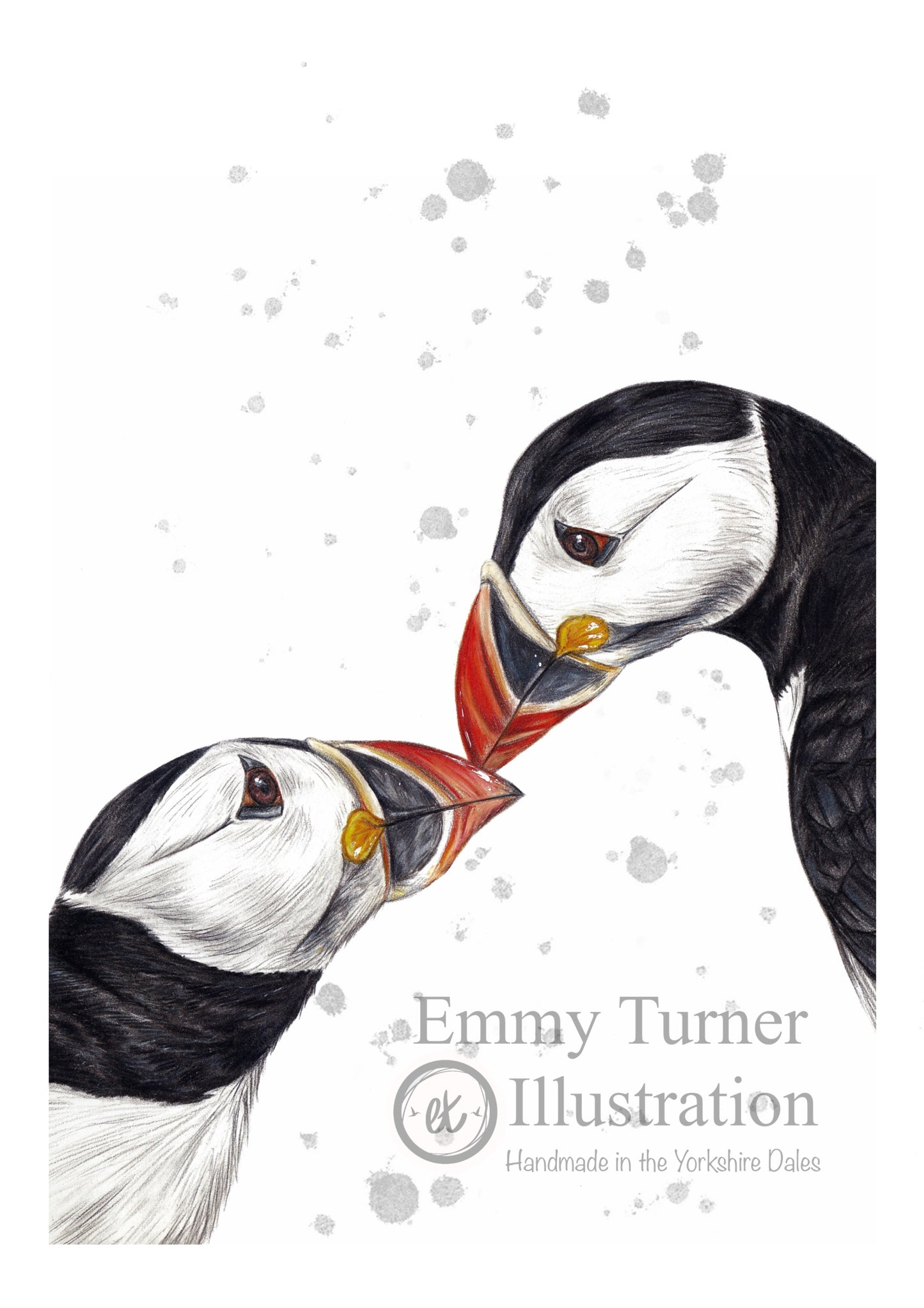 Puffin Limited Edition Print