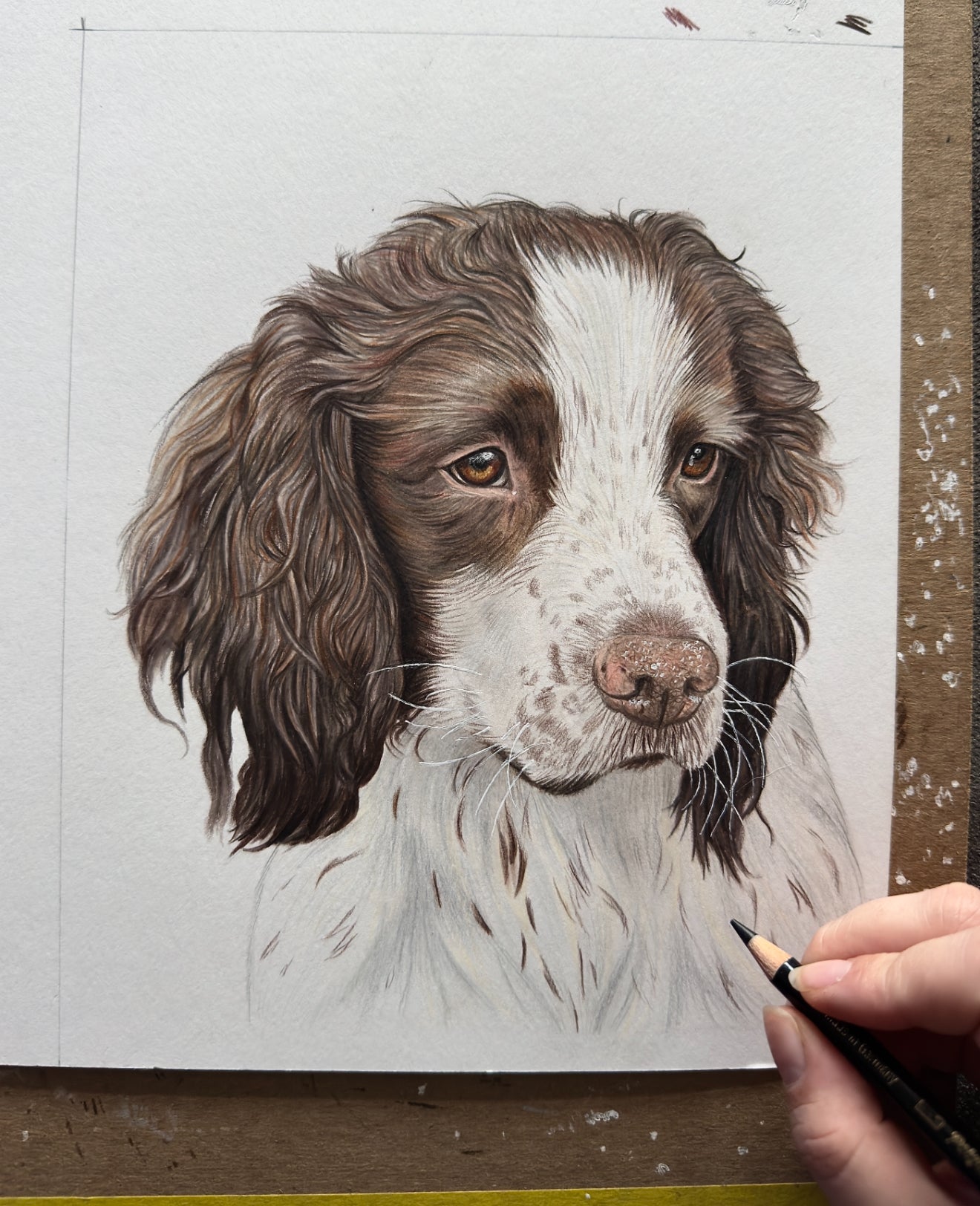 8”x10” inch Portrait