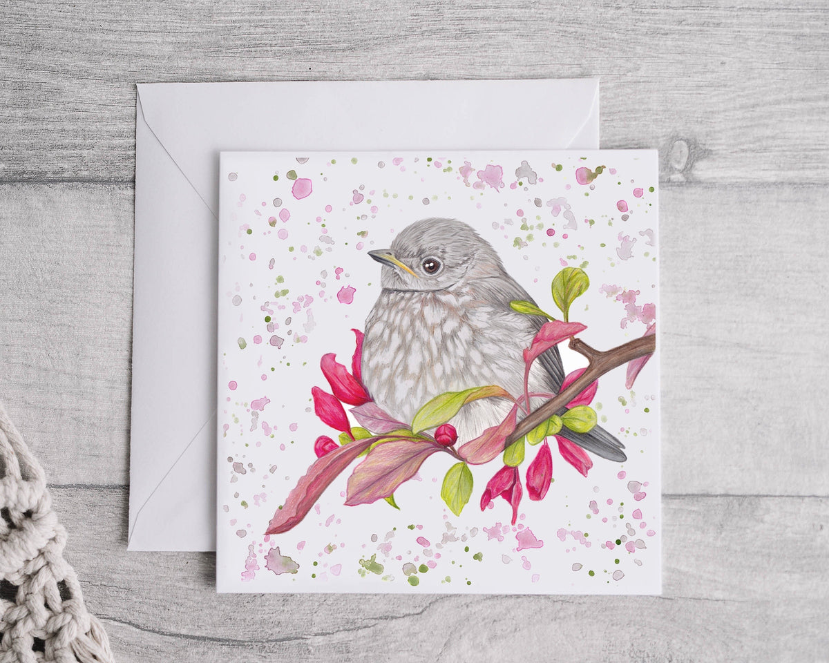 Preorder - Baby Robin Greetings Card