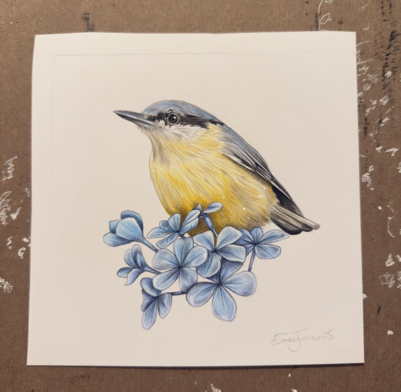 Nuthatch Mini Original
