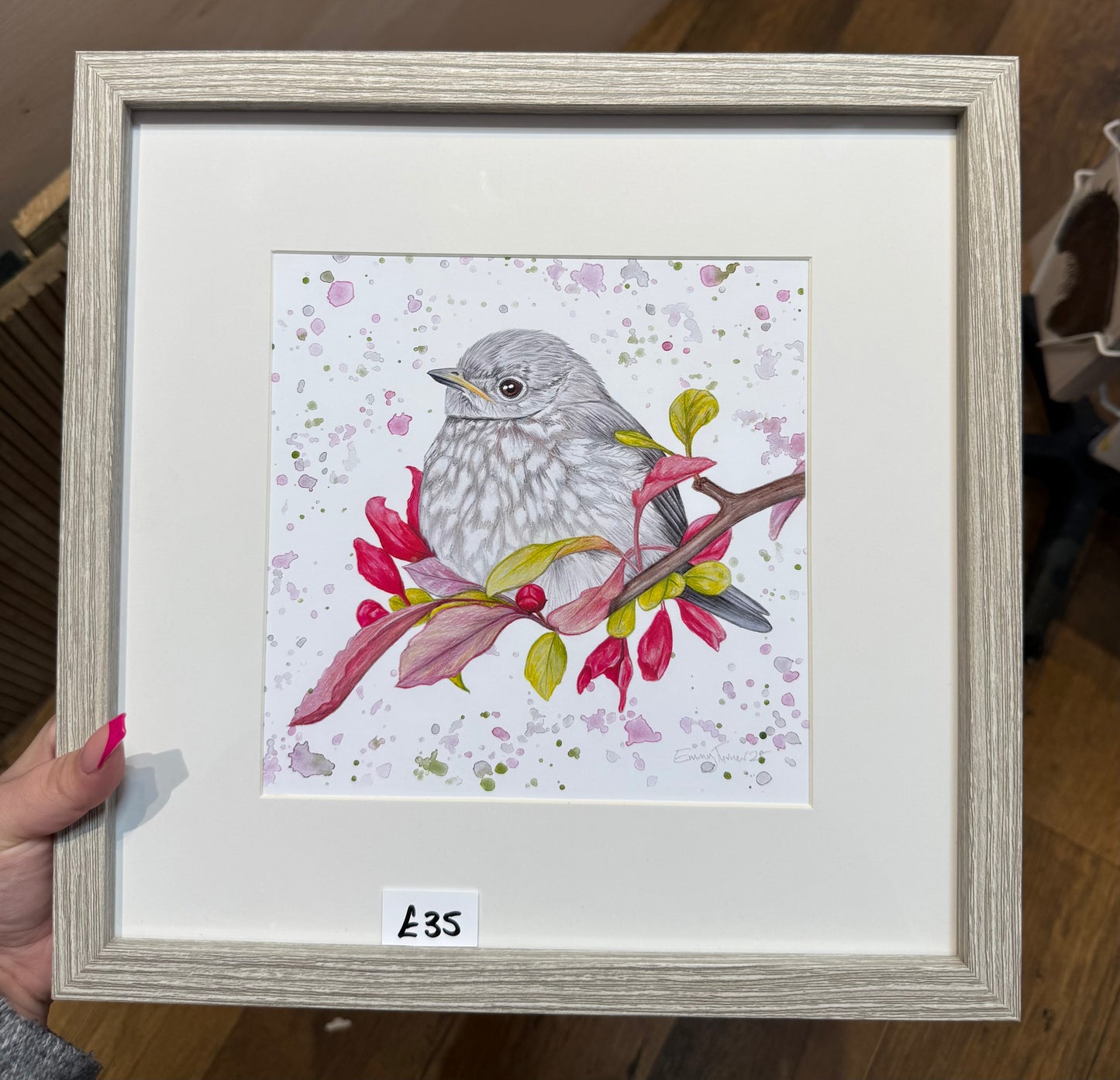 Preorder - 8x8 Baby Robin Framed Print