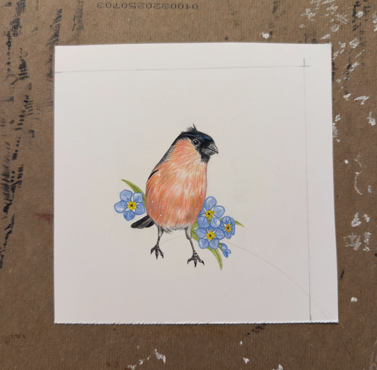 Bullfinch Tiny Original