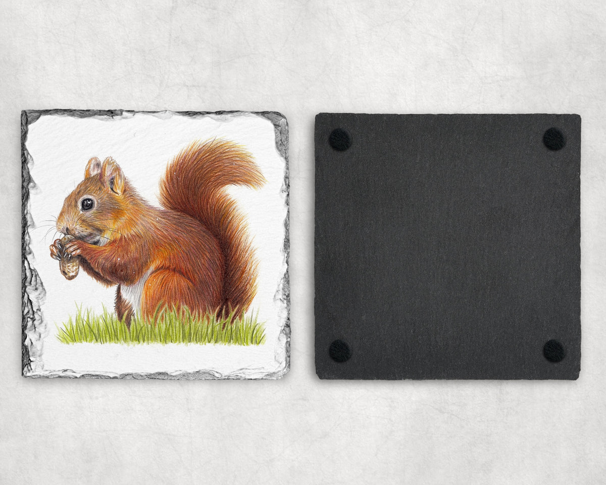 Preorder - Red squirrel Slate Coaster