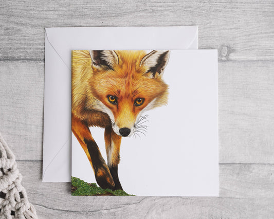 Preorder- fox card