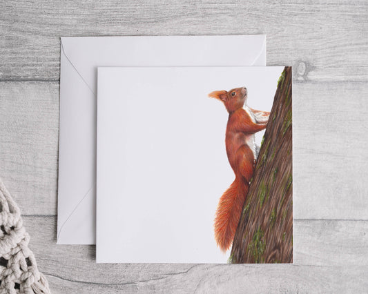 Red Squirrel Card