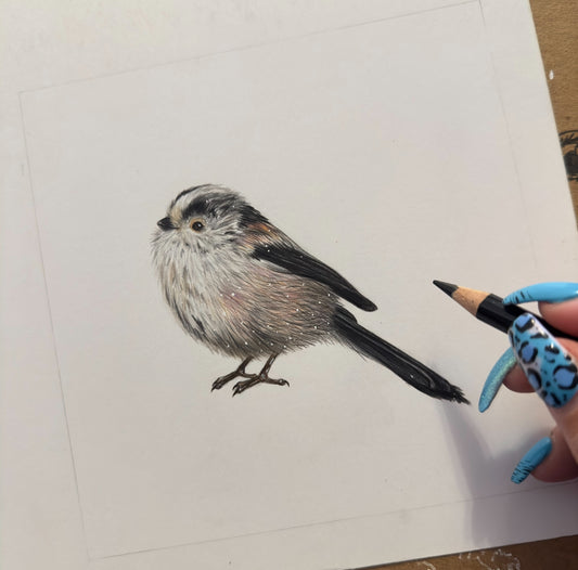 Long Tailed Tit - Mini British Bird Collection