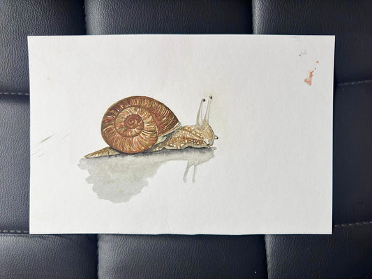 Original Snail 2016