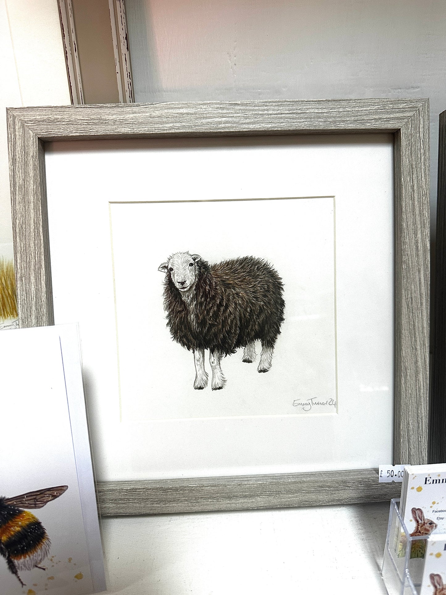 Original Herdwick Sheep