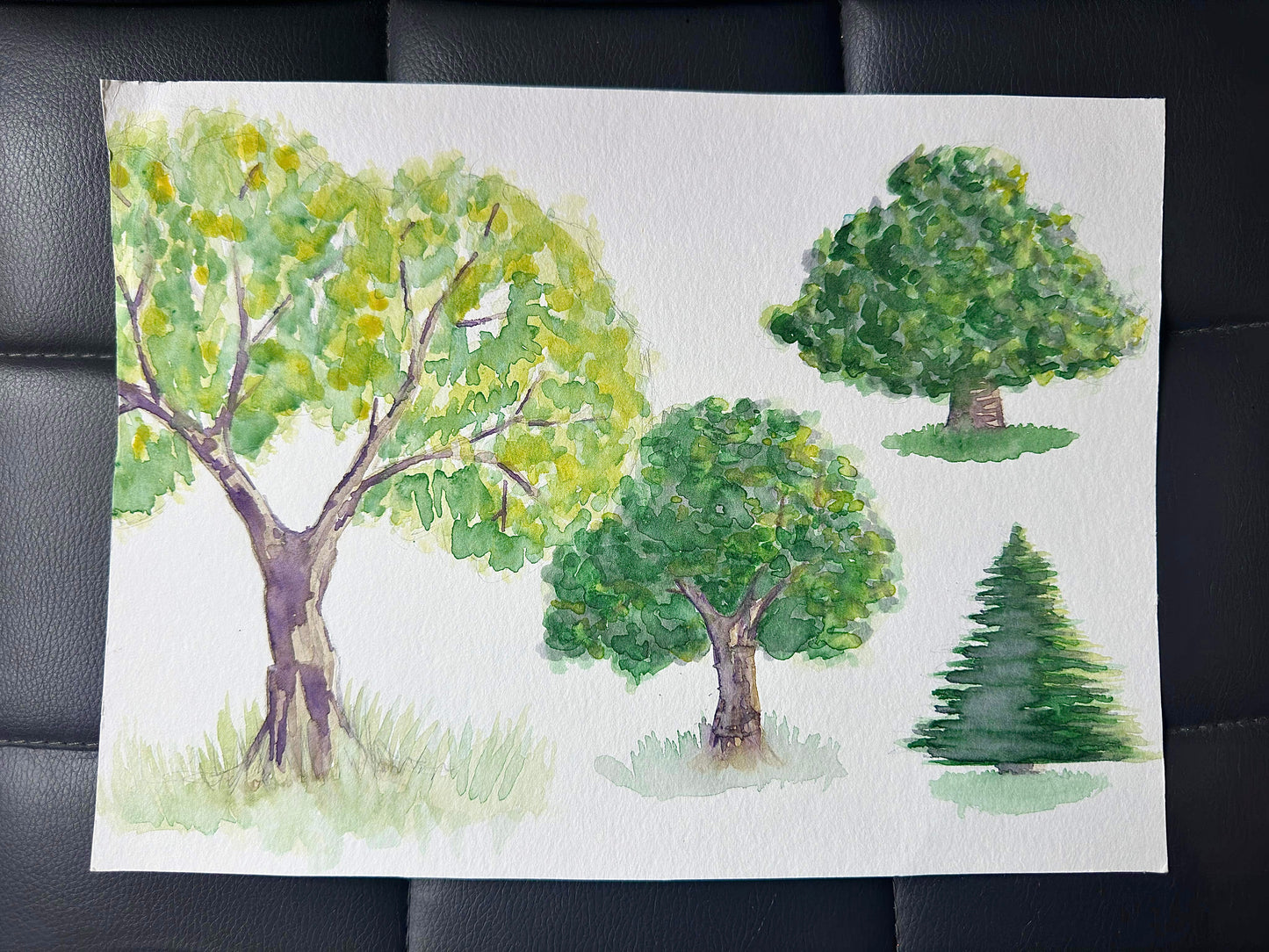 Trees Original 2016