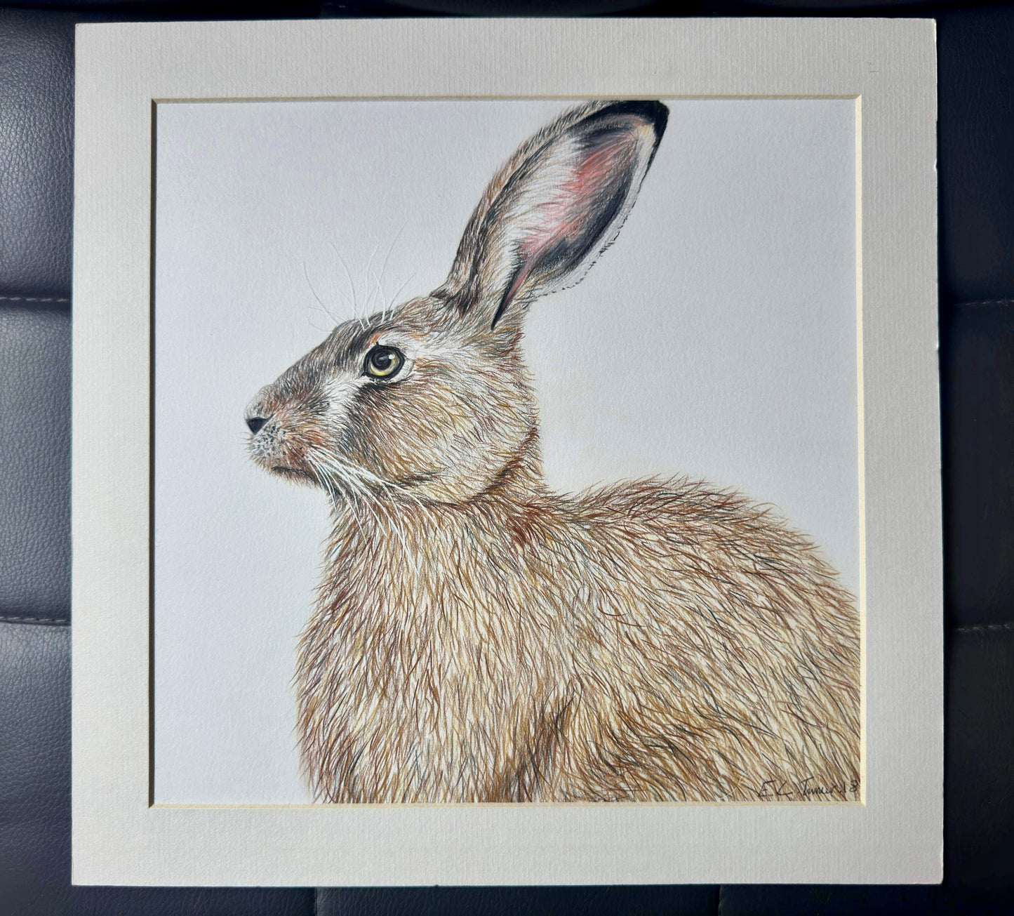 Original Hare 2018