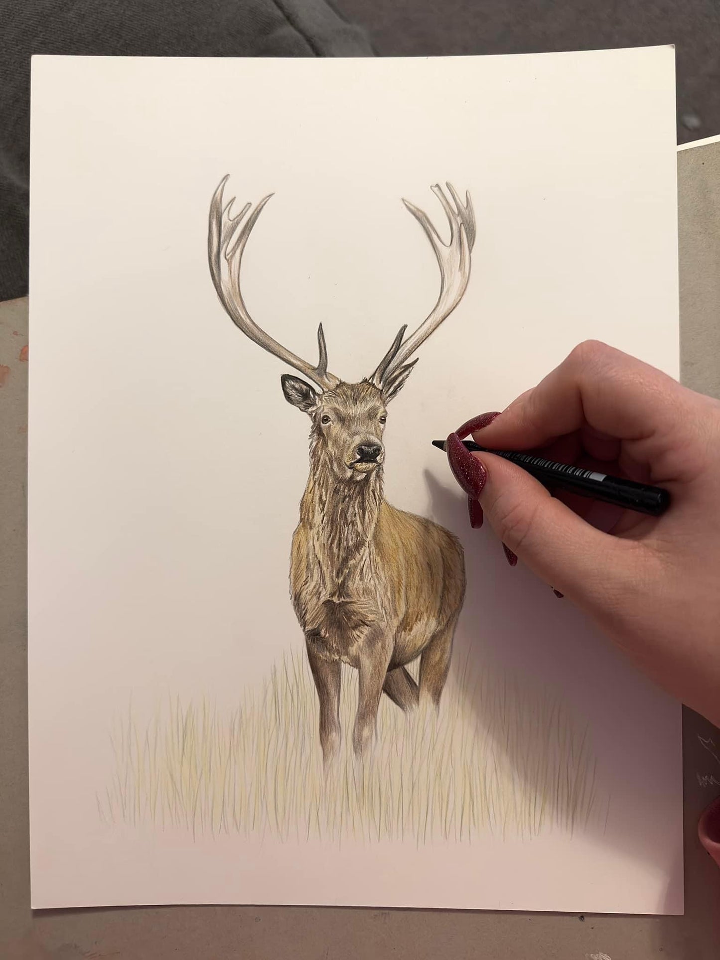 Stag Original