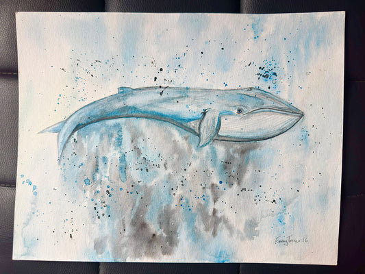 Whale Original 2016