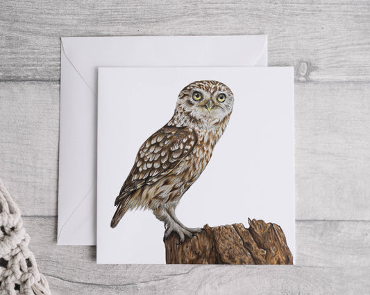 Preorder- Little Owl Card
