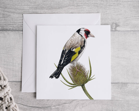 Preorder- Goldfinch card