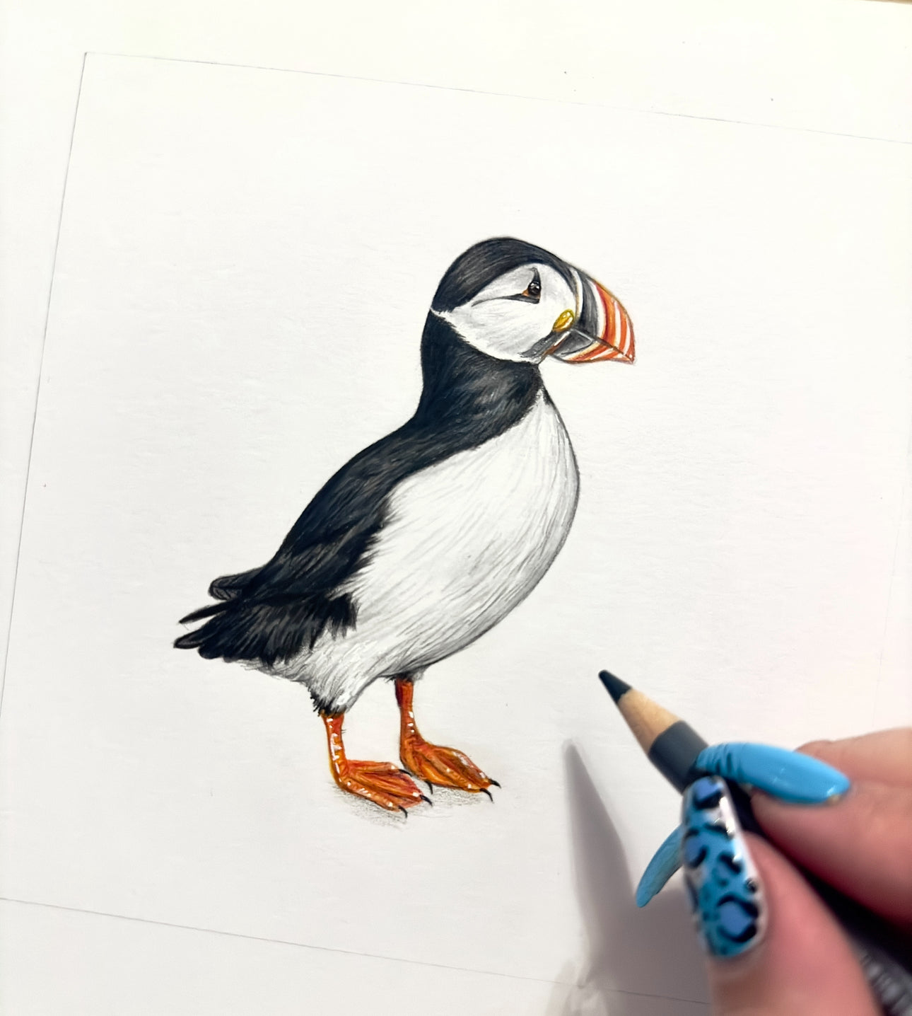 Puffin - Mini British Bird Collection