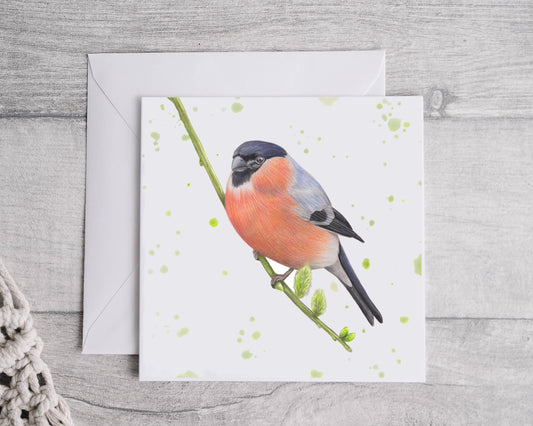 Bullfinch Greetings Card