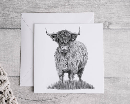 Preorder-BW Highland cow
