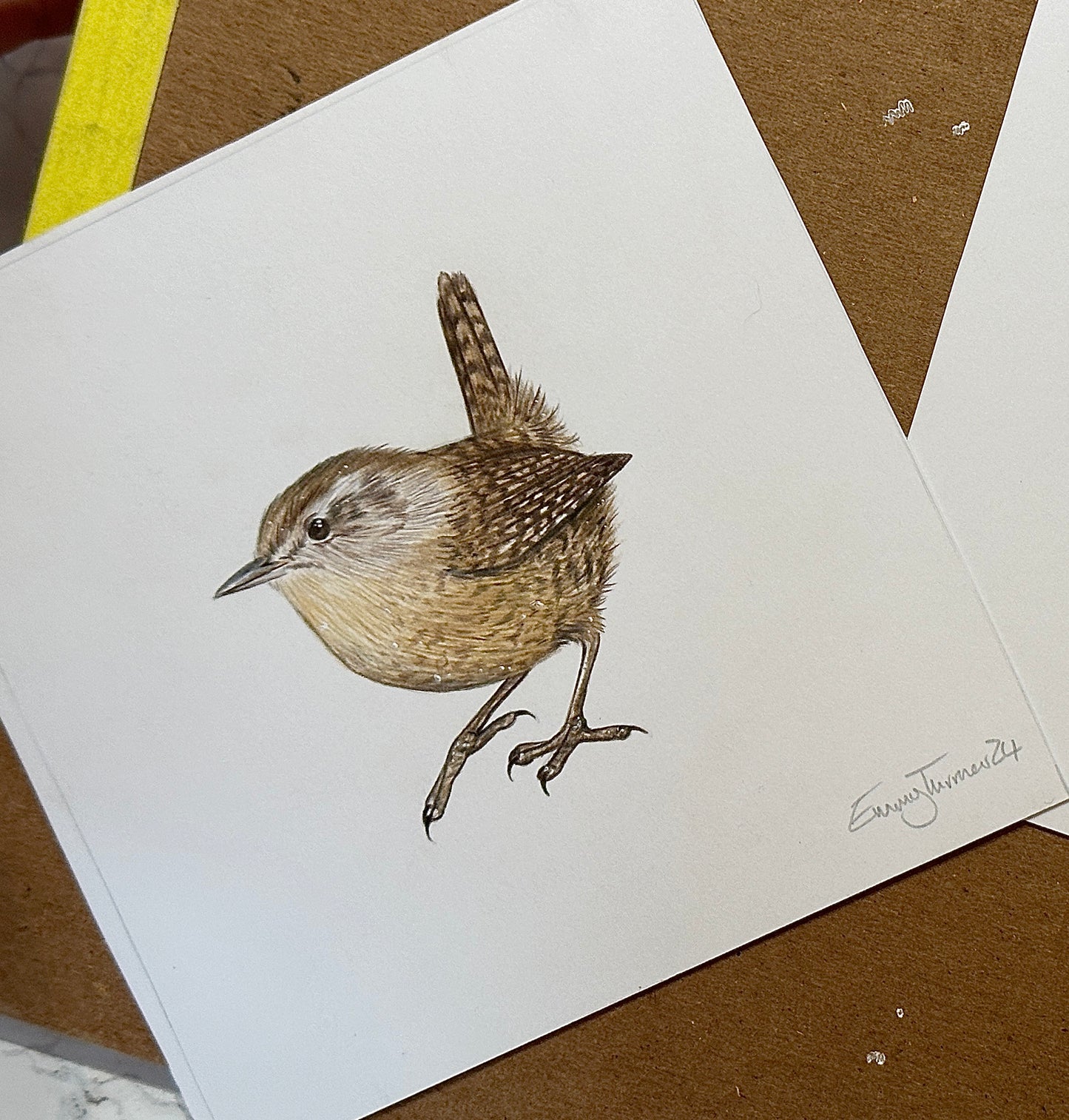 British Wren Original