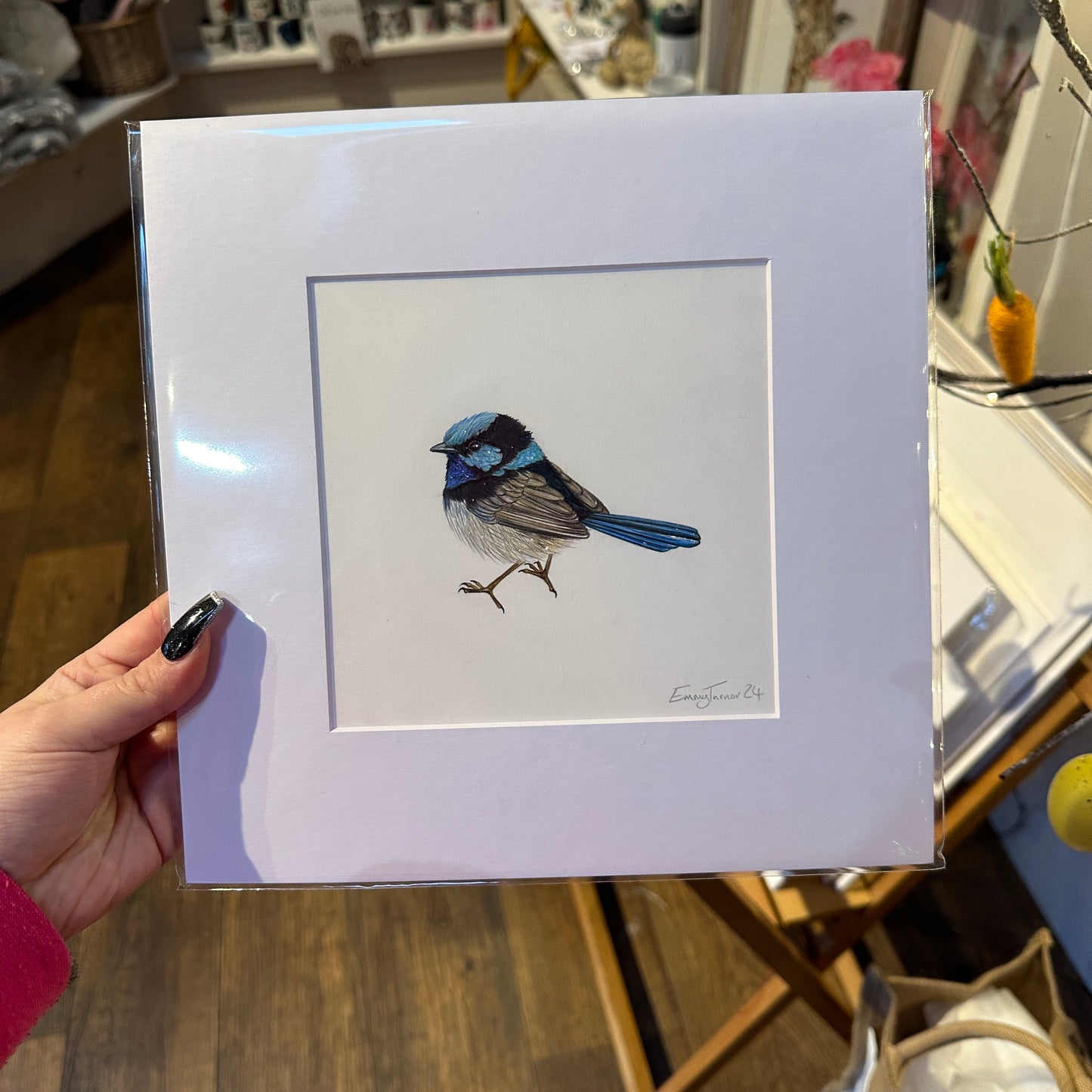 Superb Fairywren Original