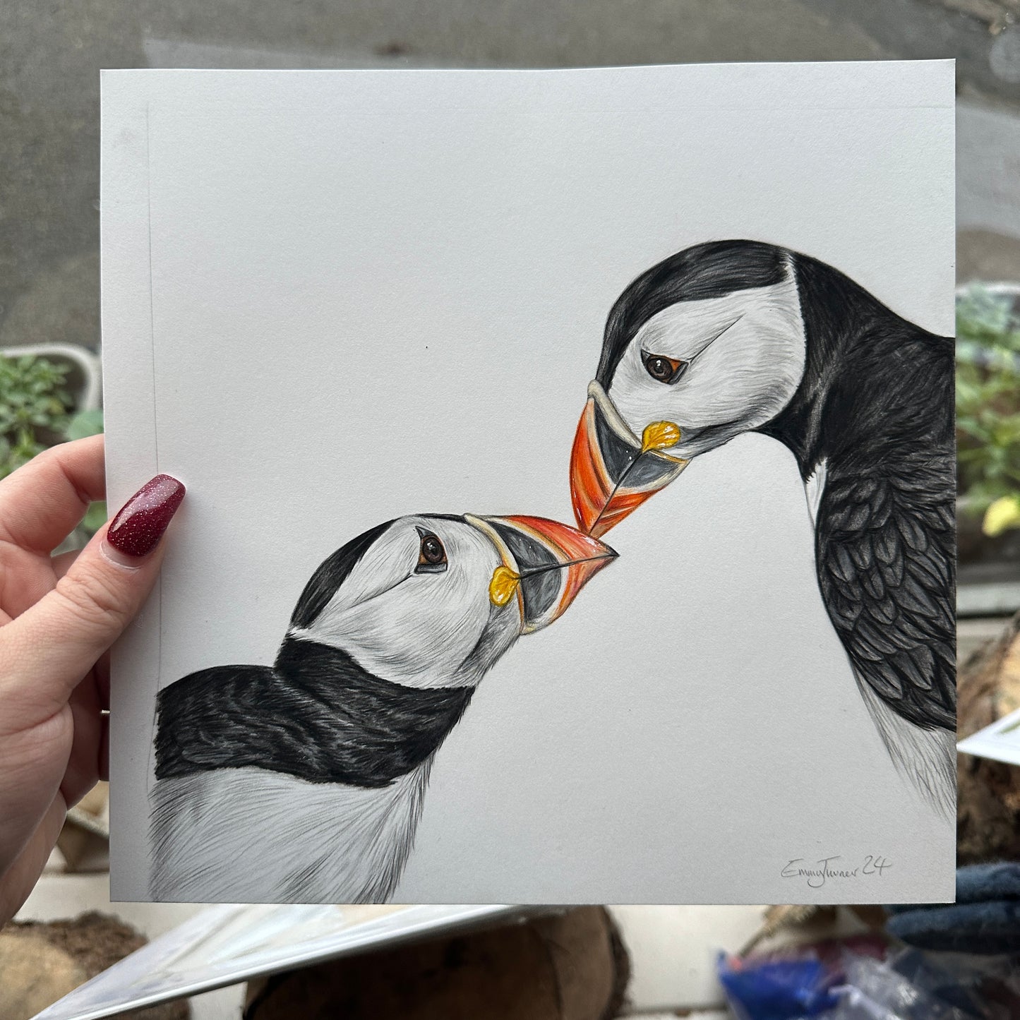 Puffin Original - Framed