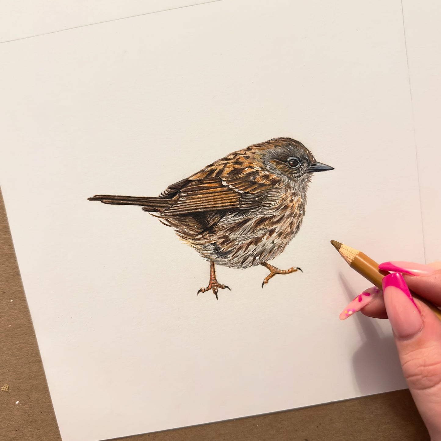 Dunnock Mini Original