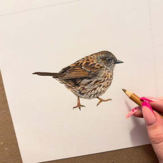 Dunnock Mini Original