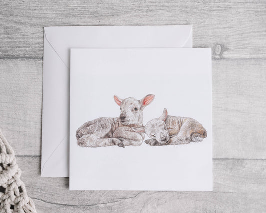 Preorder- lambs card