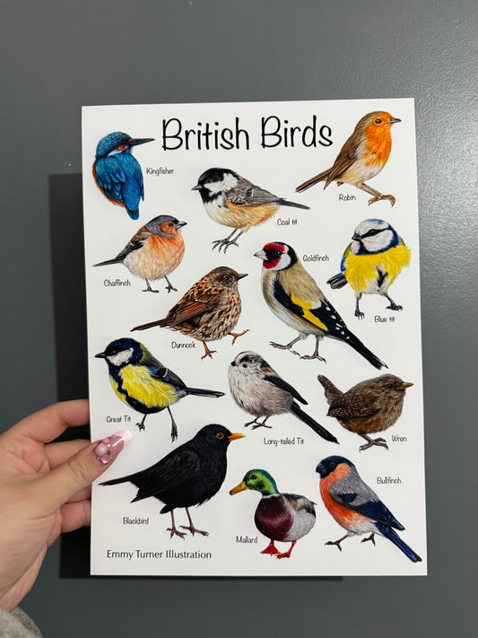 British Birds Print