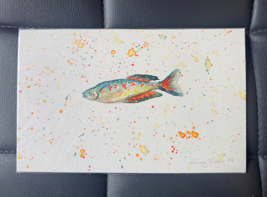 Original fish 2019