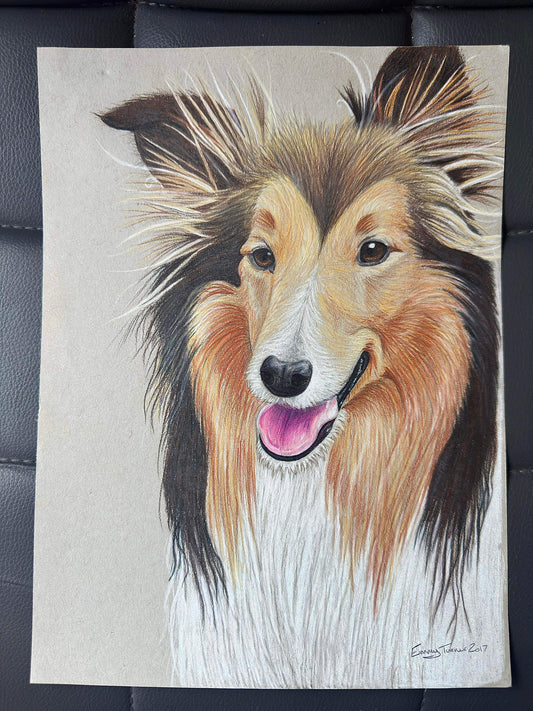 Original Rough Collie