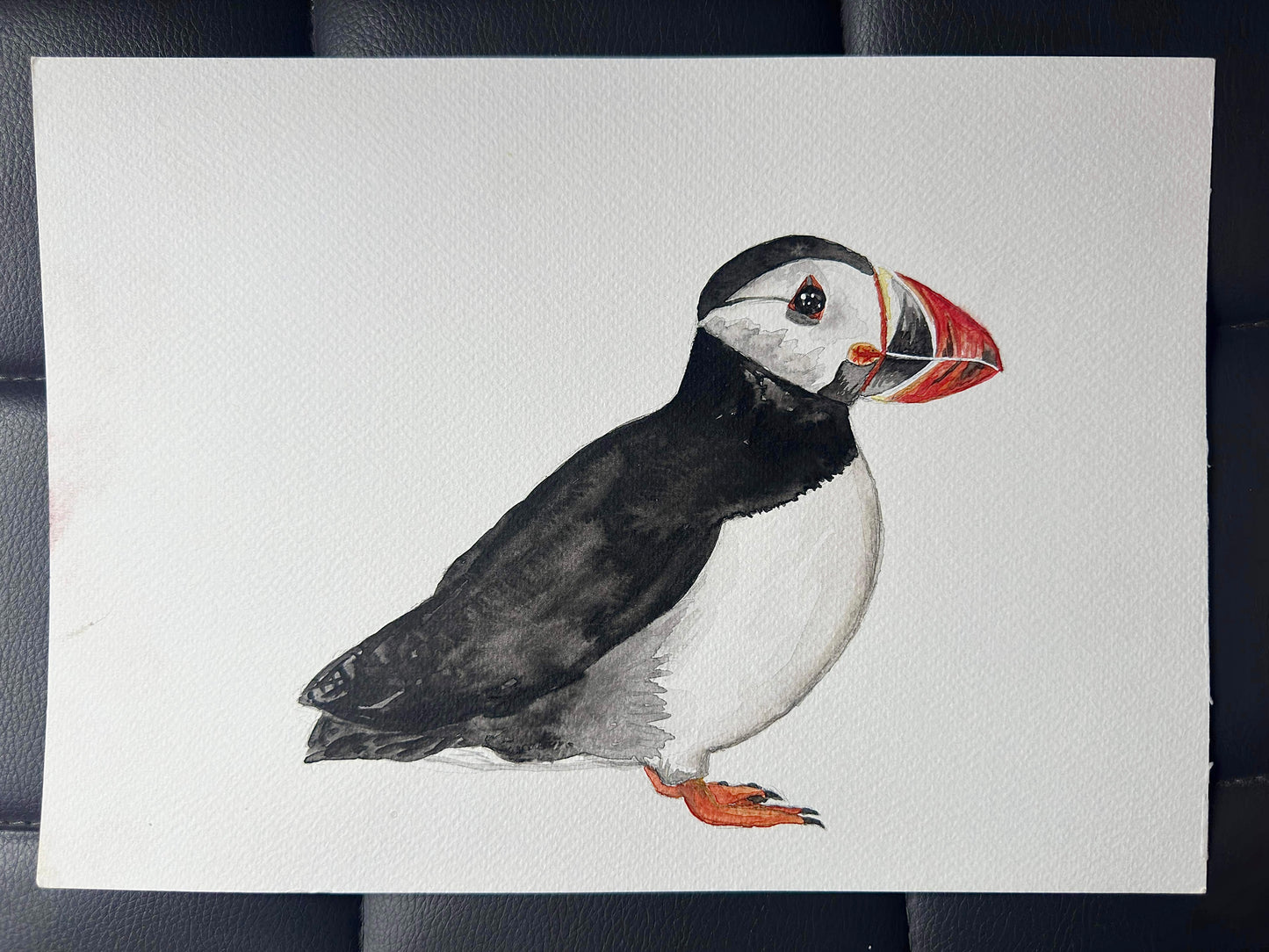 A4 Original Puffin 2017