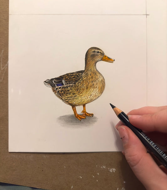 “Mrs Quackers” Duck - Mini British Bird Collection