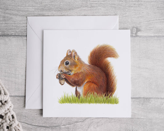 Preorder- red squirrel card