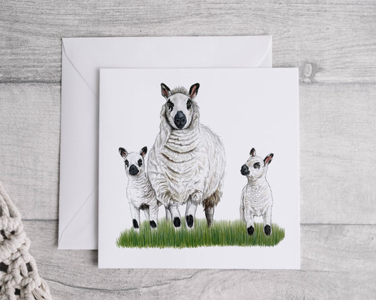 Preorder- kerryhill sheep card