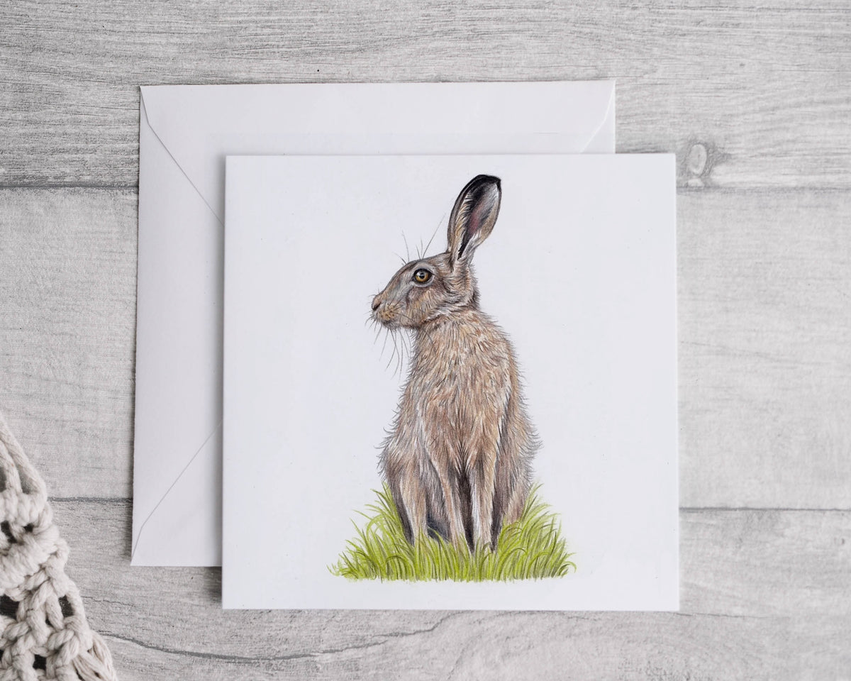Hare card