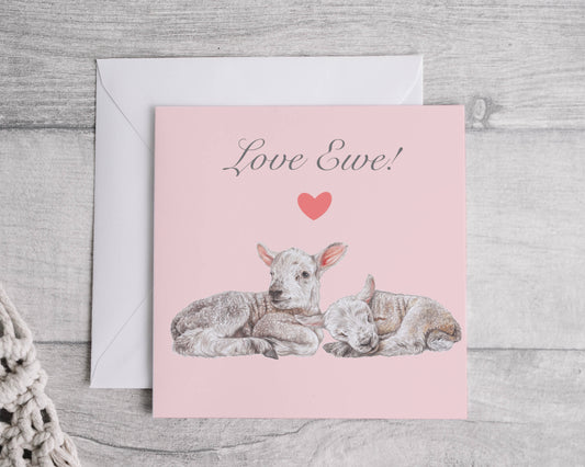Preorder- Love Ewe Card