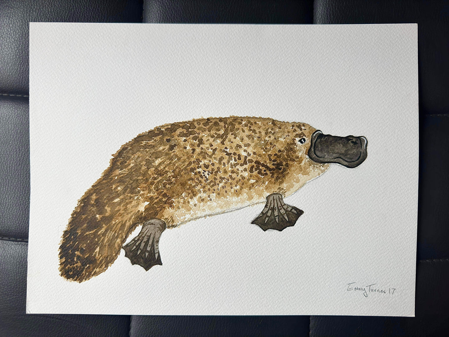 A4 Original Platypus 2017