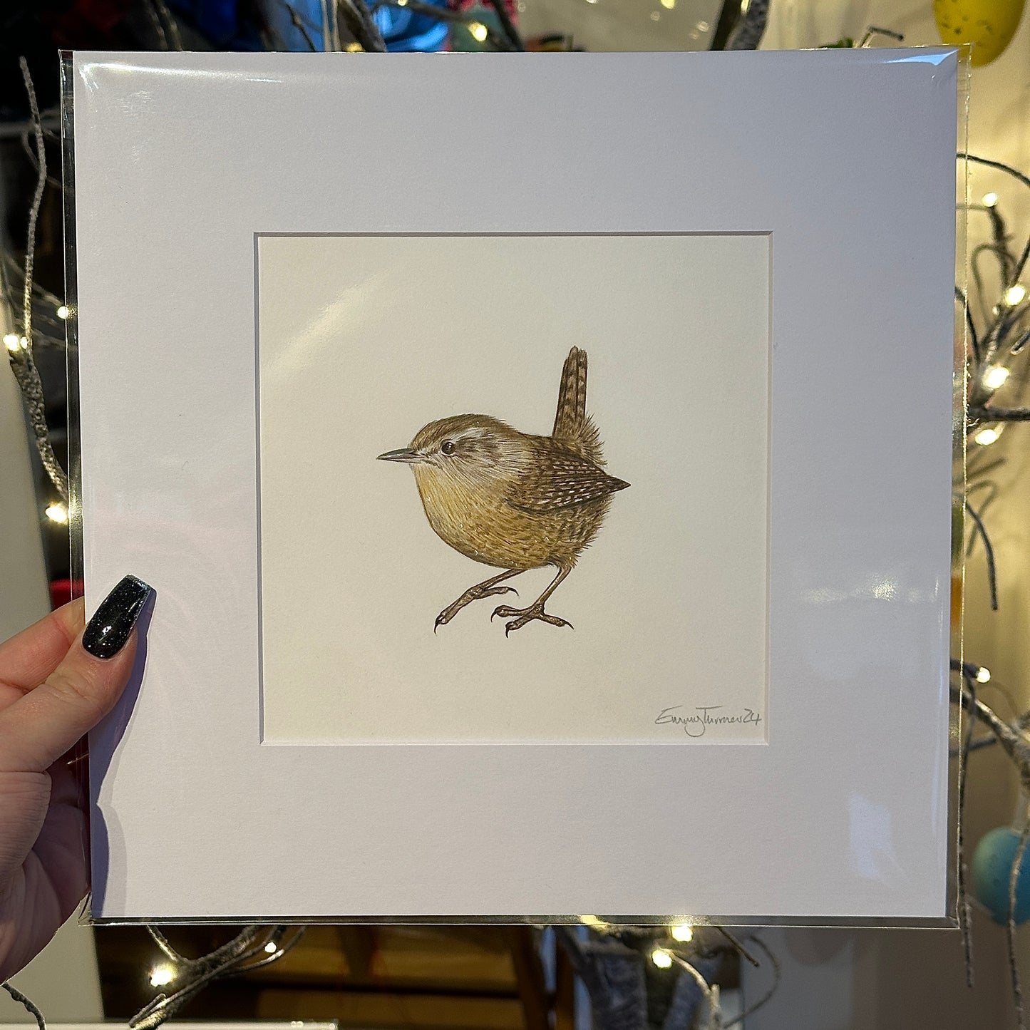 British Wren Original