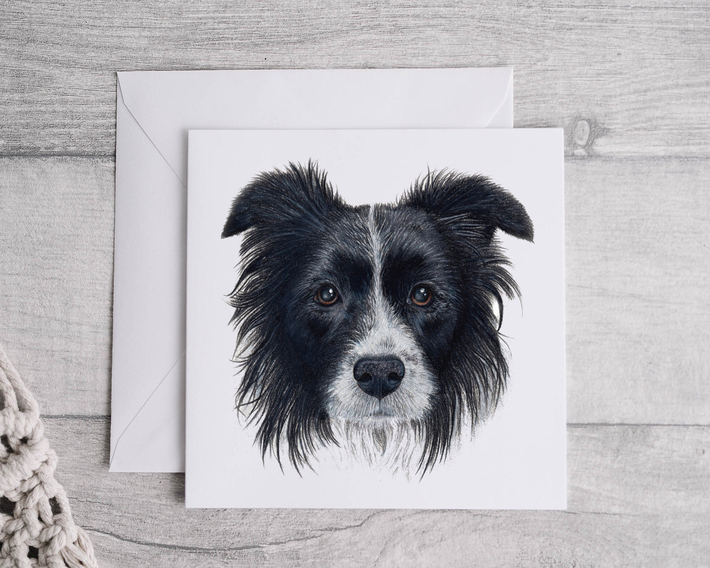 Border Collie Card