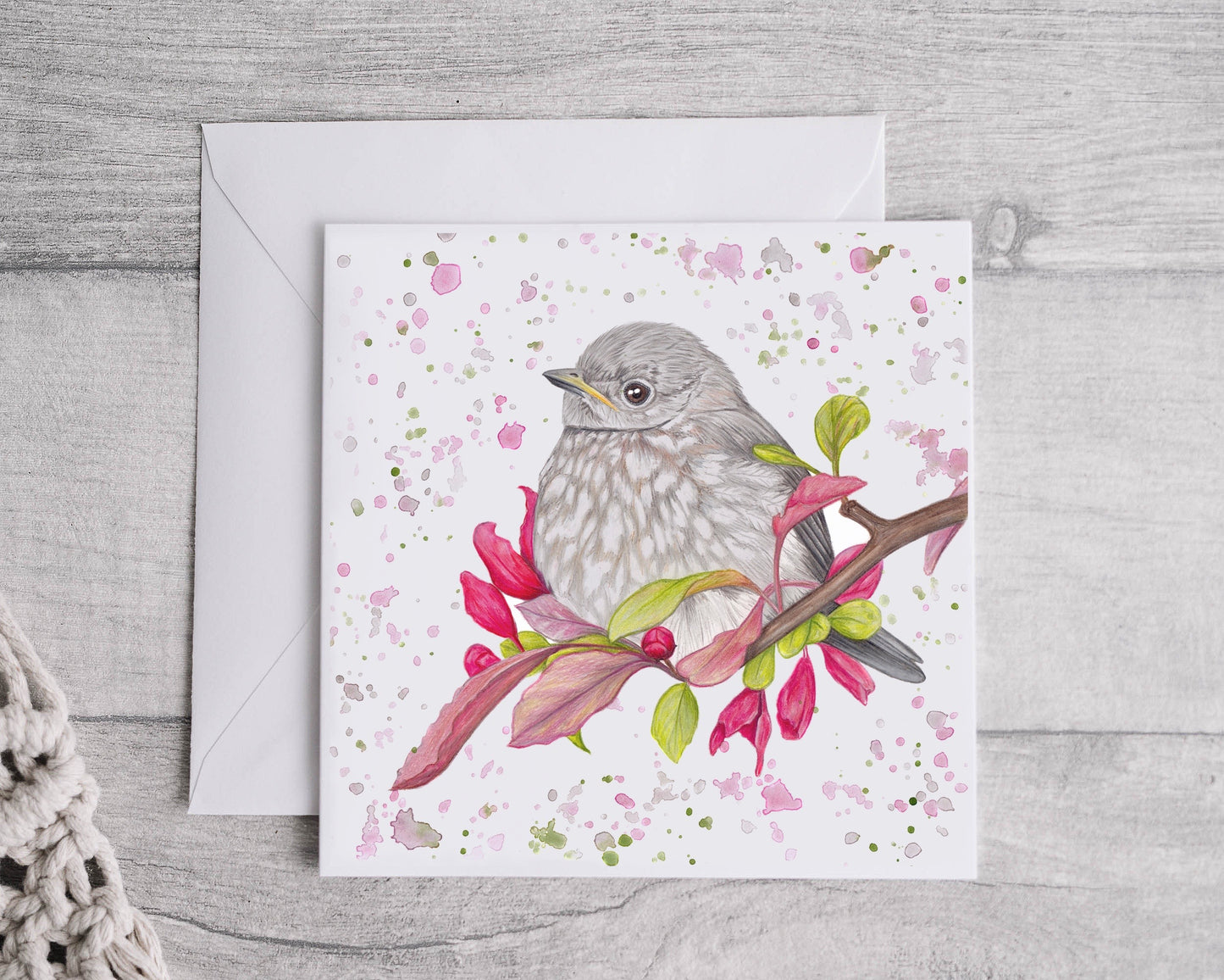 Baby Robin Greetings Card