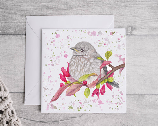 Baby Robin Greetings Card