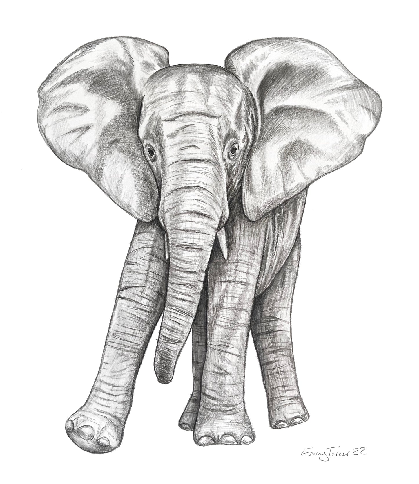 Elephant original