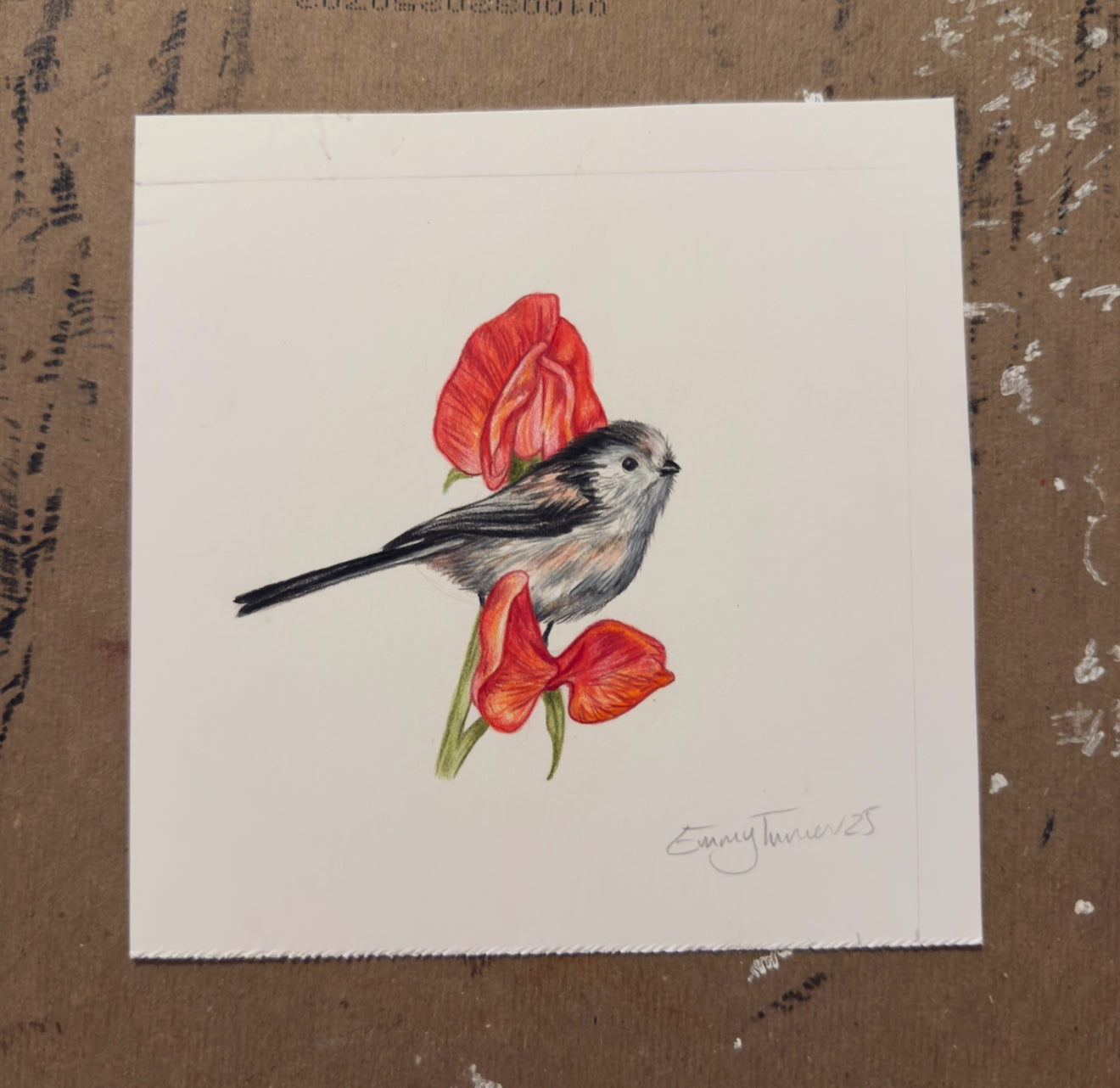 Long Tailed Tit Tiny Original