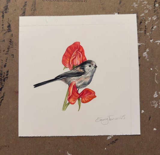 Long Tailed Tit Tiny Original