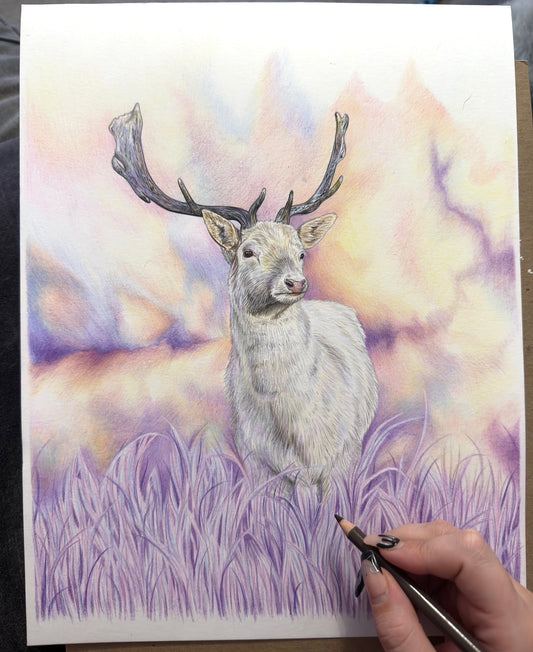 Winter Stag Limited Edition Print