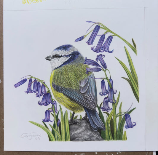 Blue Tit Medium Original