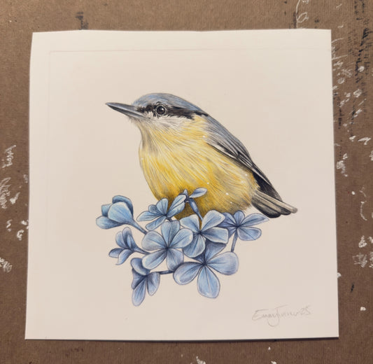 Nuthatch Mini Original