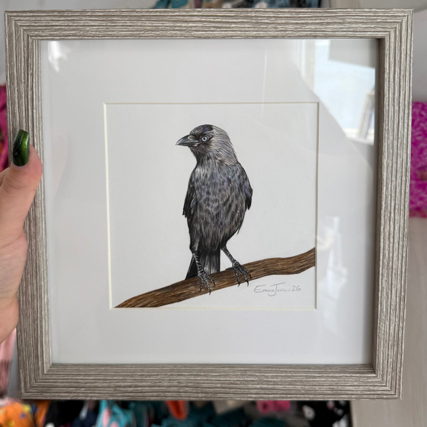Framed Mini Jackdaw Original